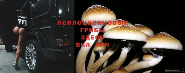 каннабис Пролетарск