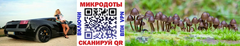 сколько стоит  гидра   Псилоцибиновые грибы GOLDEN TEACHER  Белово 