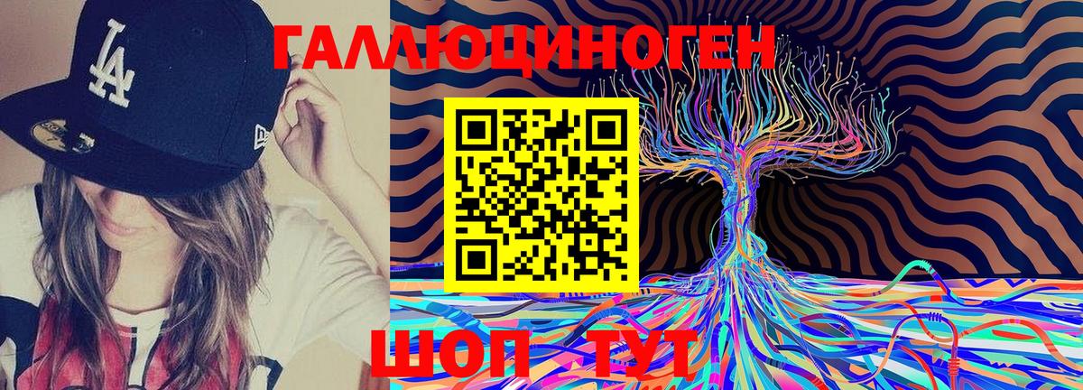 купить закладку  Белово  Галлюциногенные грибы GOLDEN TEACHER 