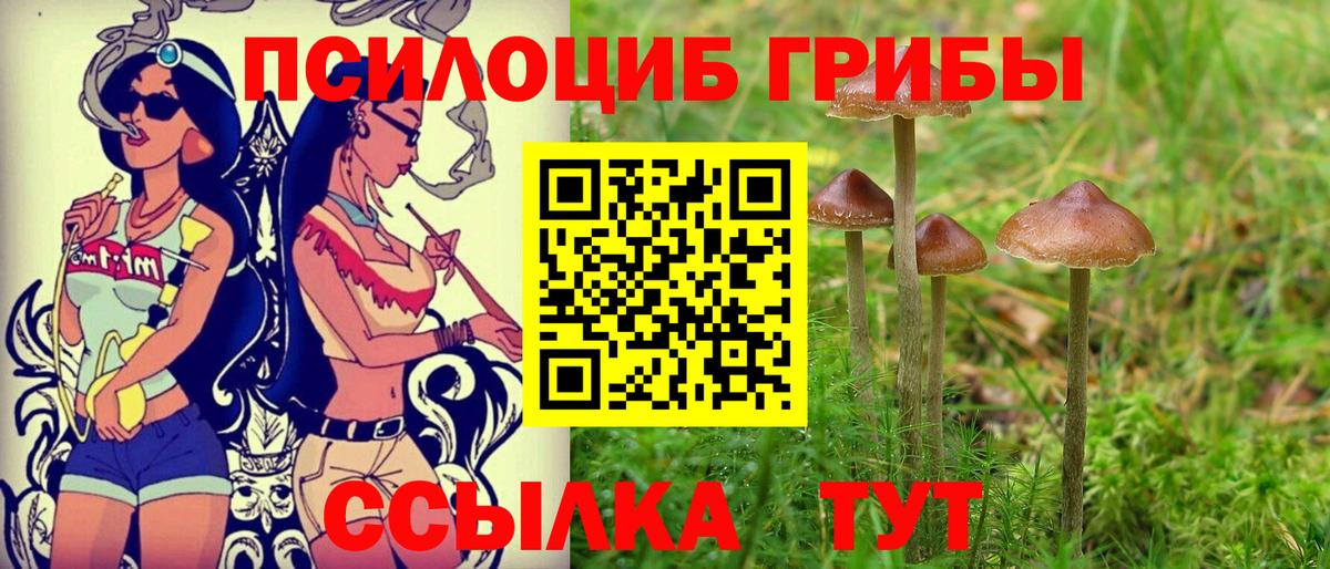 Галлюциногенные грибы Psilocybine cubensis  Галлюциногенные грибы мухоморы  Вход с VPN  Белово 
