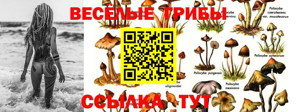 Галлюциногенные грибы GOLDEN TEACHER Белово