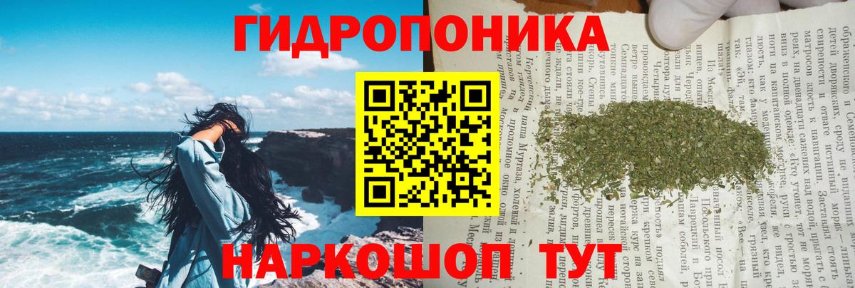 Канабис конопля Белово